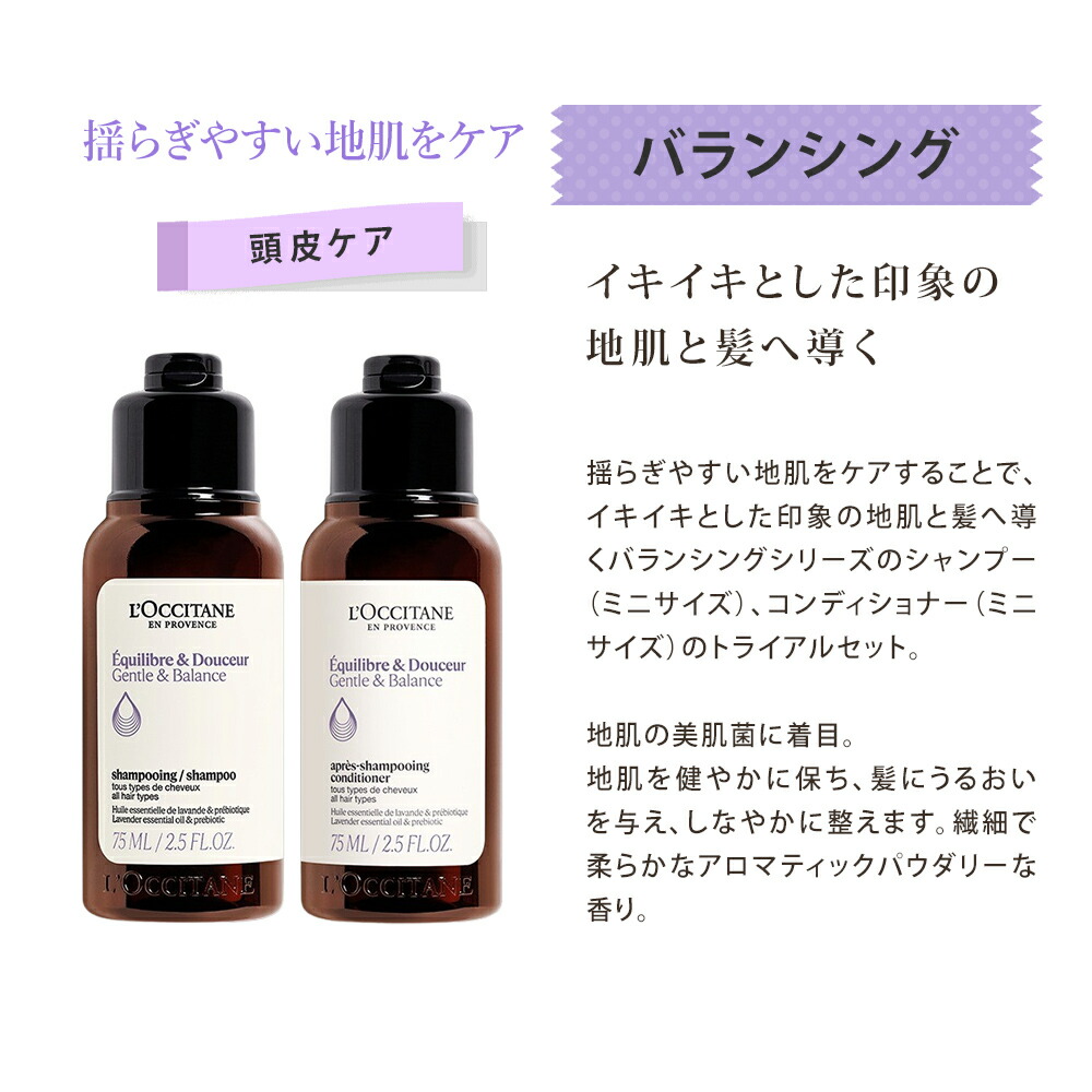 L'Occitane インテンシヴRシャンプー コンディショナーセット L