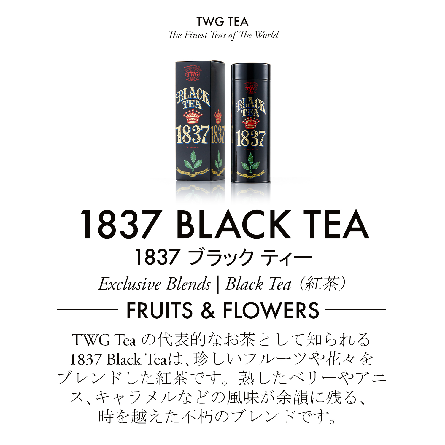 楽天市場】【公式】1837ブラックティー 紅茶 ギフト 缶入り茶葉