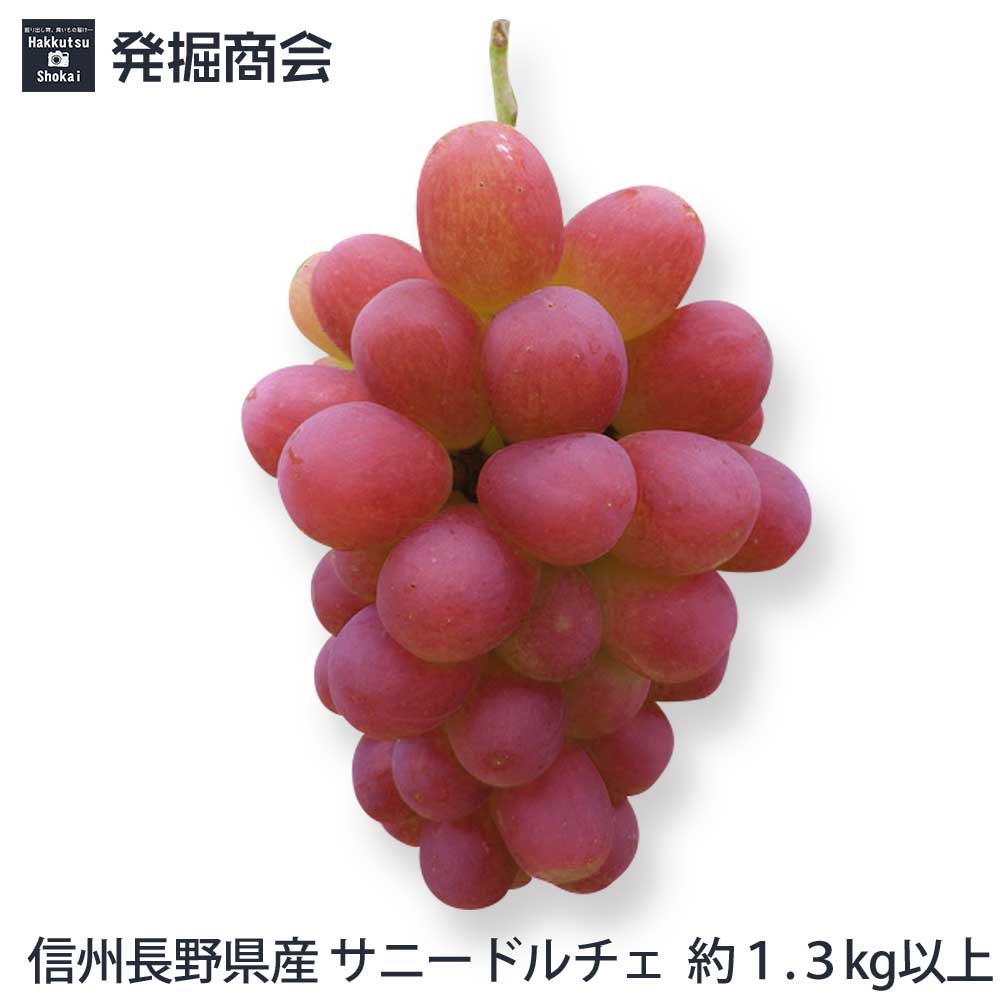 楽天市場】信州 長野県産【サニードルチェ】約1.3kg（2～3房）種なし