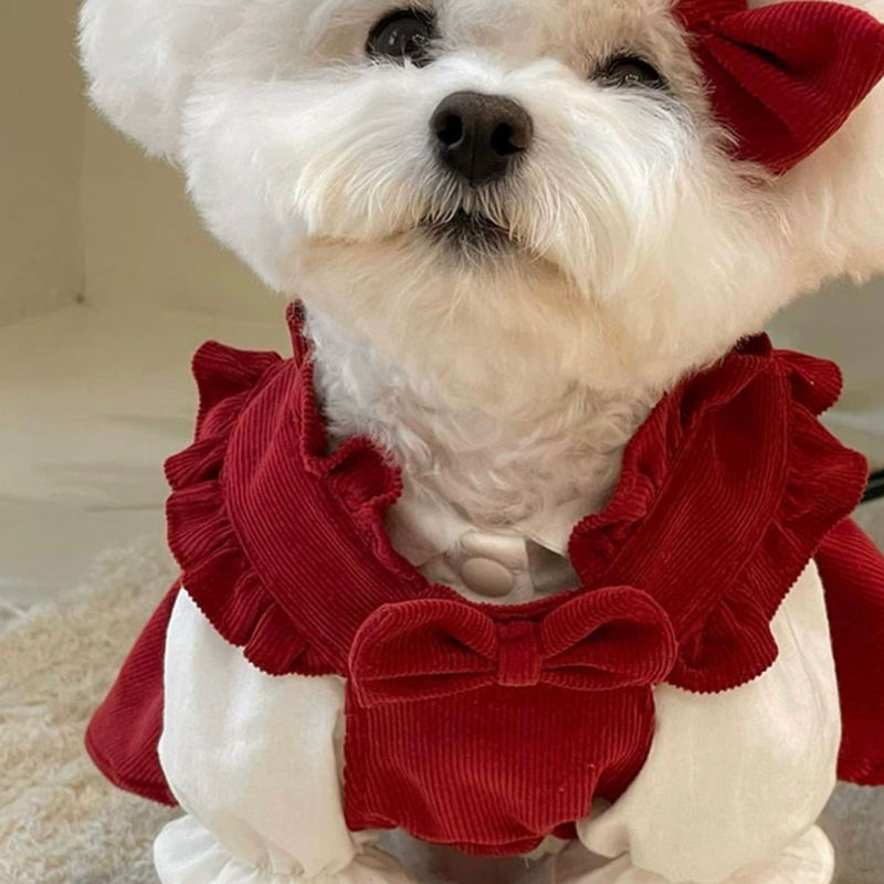 おしゃれさんワンピース ∞TuTu∞ クリスマス 犬服 ハンドメイド