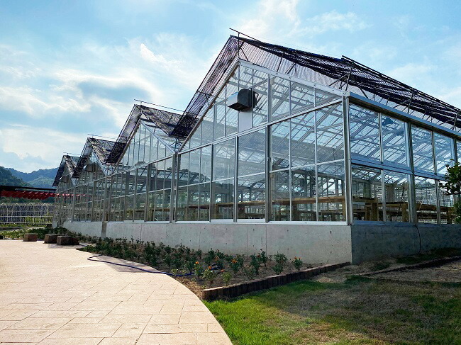 楽天市場】アルミ温室/2段サッシタイプ（K-7タイプ：間口5,600×奥行