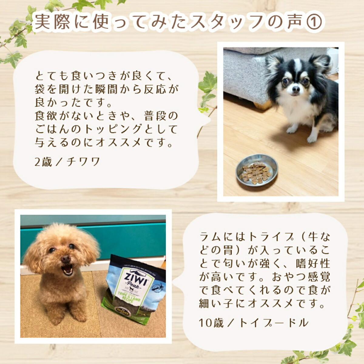 楽天市場】ジウィピーク ZIWI Peak ビーフ レシピ 犬用 ドッグフード