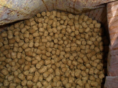 マズリ トータス ダイエット【5M21】 草食性陸ガメ・草食性爬虫類