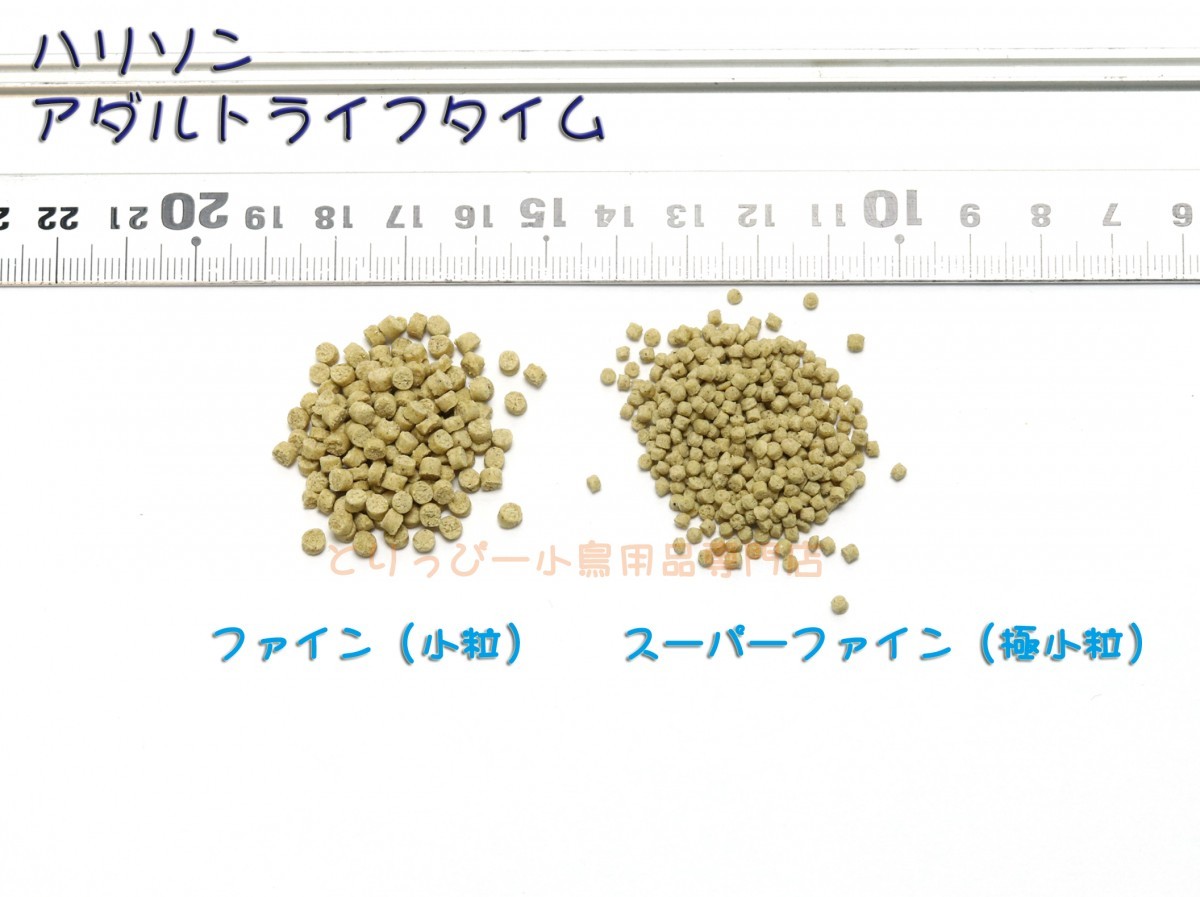 楽天市場】送料無料 | ハリソン(Harrison s) 鳥用ペレット アダルト