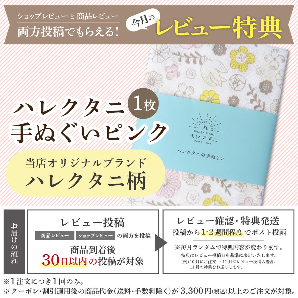 九谷焼 陶額 金彩富士 / 谷敷正人 ＜送料無料＞額縁 陶額 人気 ギフト