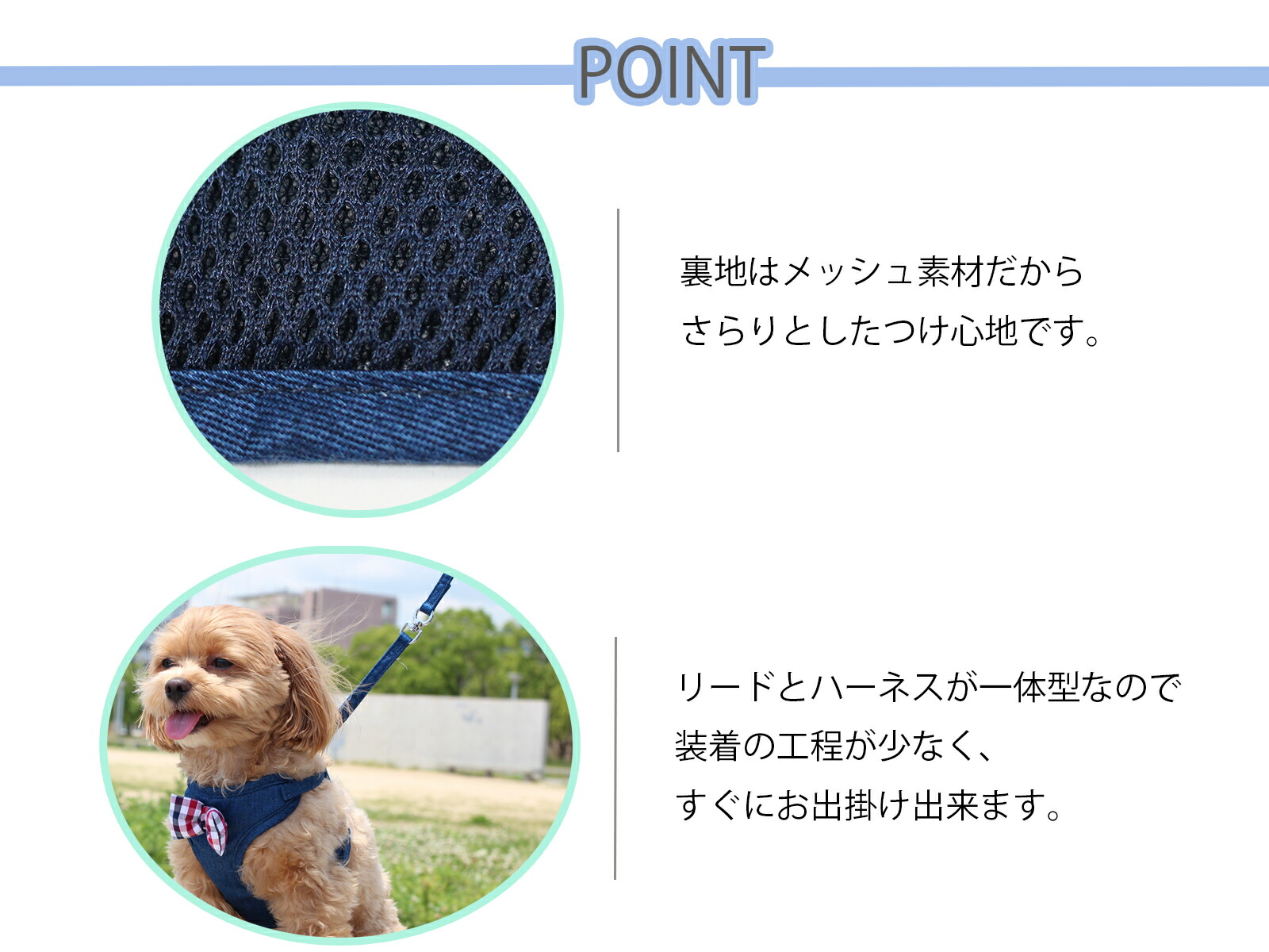 楽天市場】【クリックポスト送料無料】犬 猫 ハーネス 胴輪 リード