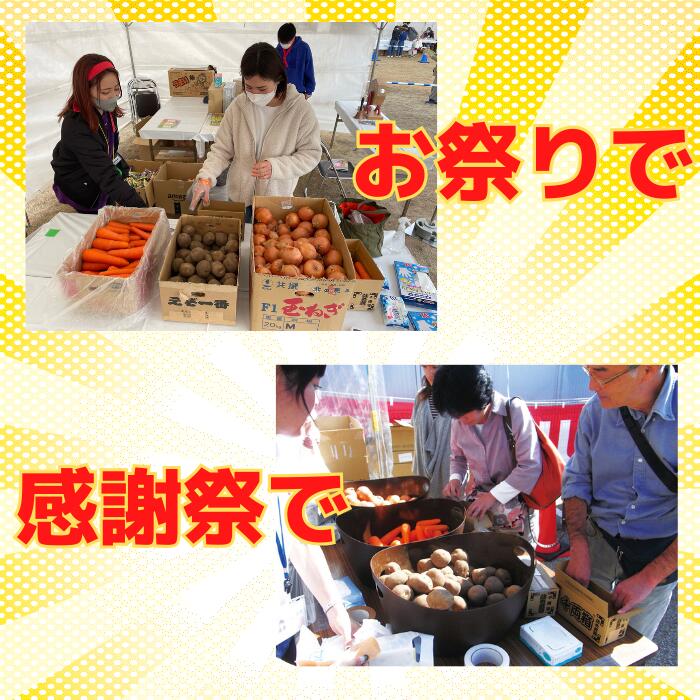 楽天市場】【送料無料】野菜3品 詰め放題キット 1セット約36名分