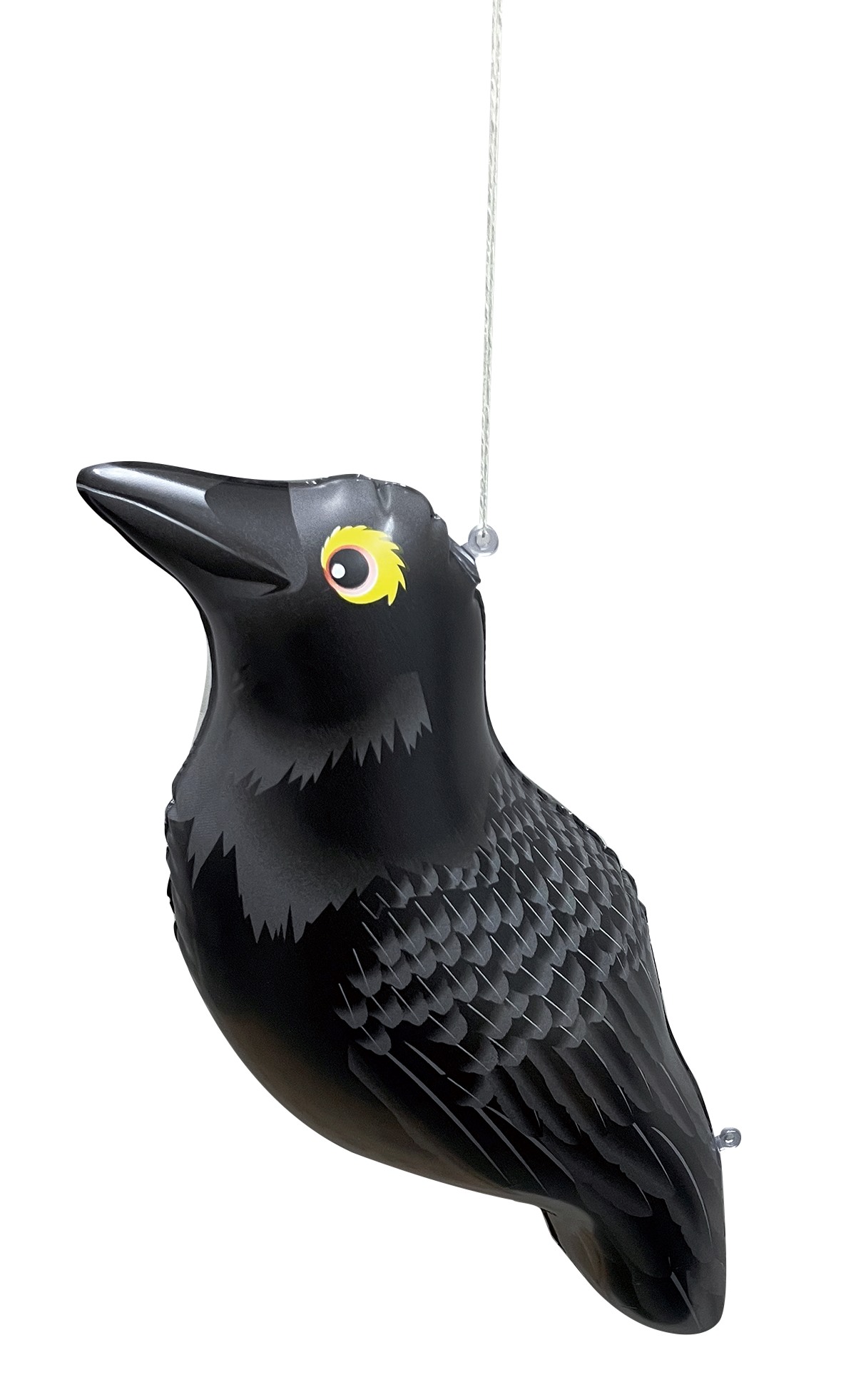 ガラス絵磯ノ海源蔵相撲取り額 [B24634] ガラス絵磯ノ海源蔵相撲取り額