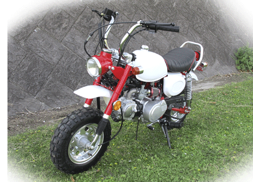 kitbike-type-tlr.gif