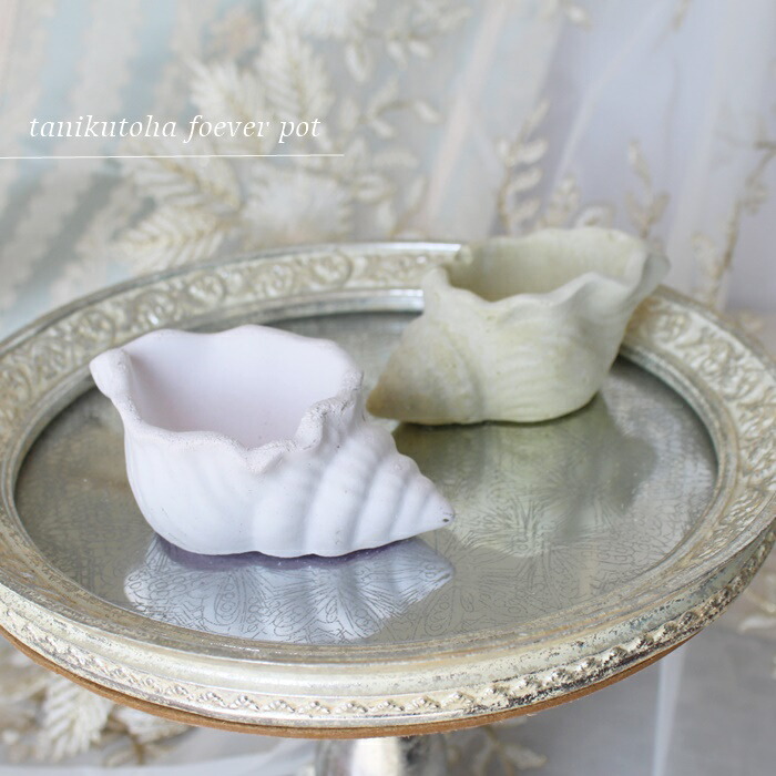 陶器製貝殻型小物入れ 貝殻型小物入れ3個セット | JTBショッピング