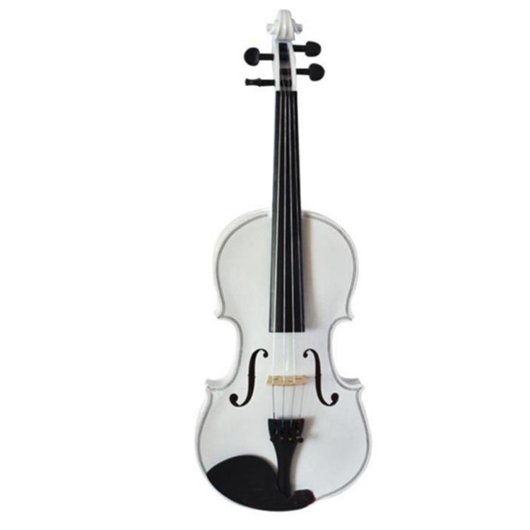 楽天市場】バイオリン 初心者セット 4/4 4点セット ヴァイオリン 入門