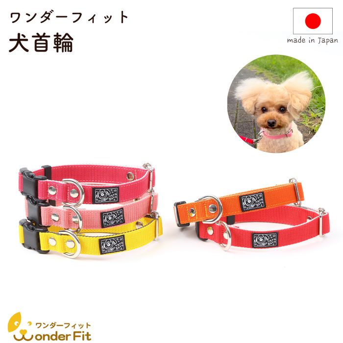 pp-101.jpg?fitin=272:272