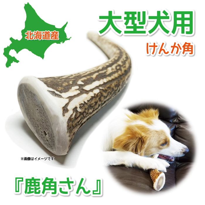 楽天市場】【大型犬用 蝦夷鹿の角】『鹿角さん』 けんか角 1本 サイズ