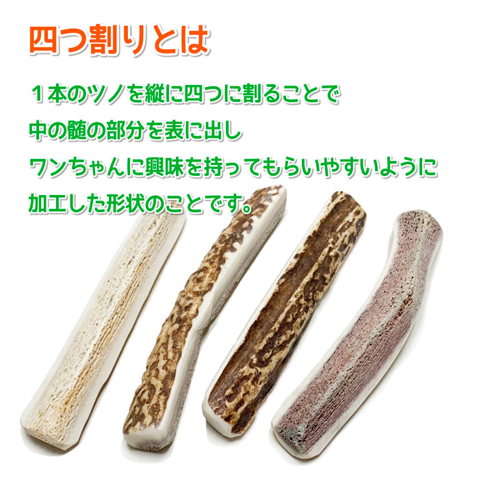 楽天市場】【小型犬用 蝦夷鹿の角】犬のおもちゃ『鹿角さん』 髄出し四