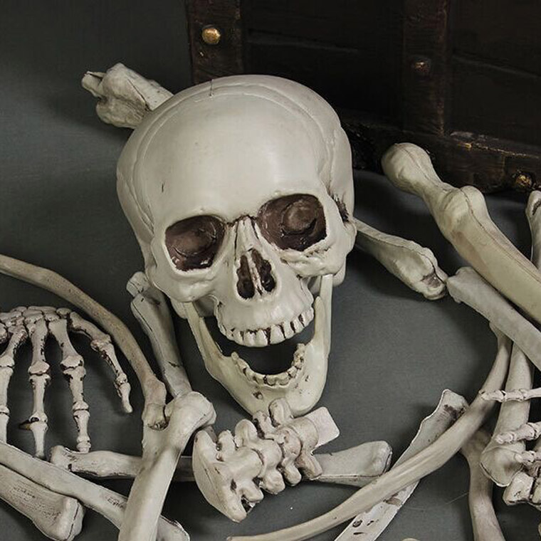 頭骨 人体模型 ドイツ 髑髏 ドクロ 置物 オブジェ アートvintage 頭骨