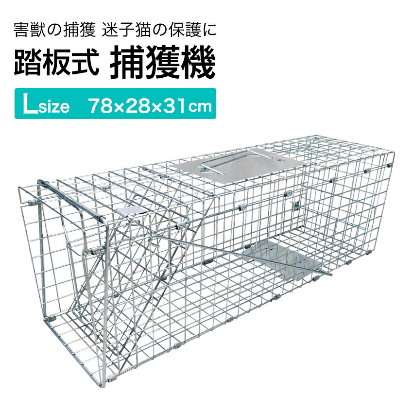 楽天市場】アウトレット品 捕獲機 捕獲器 猫 犬 捕獲 Lサイズ 踏板式