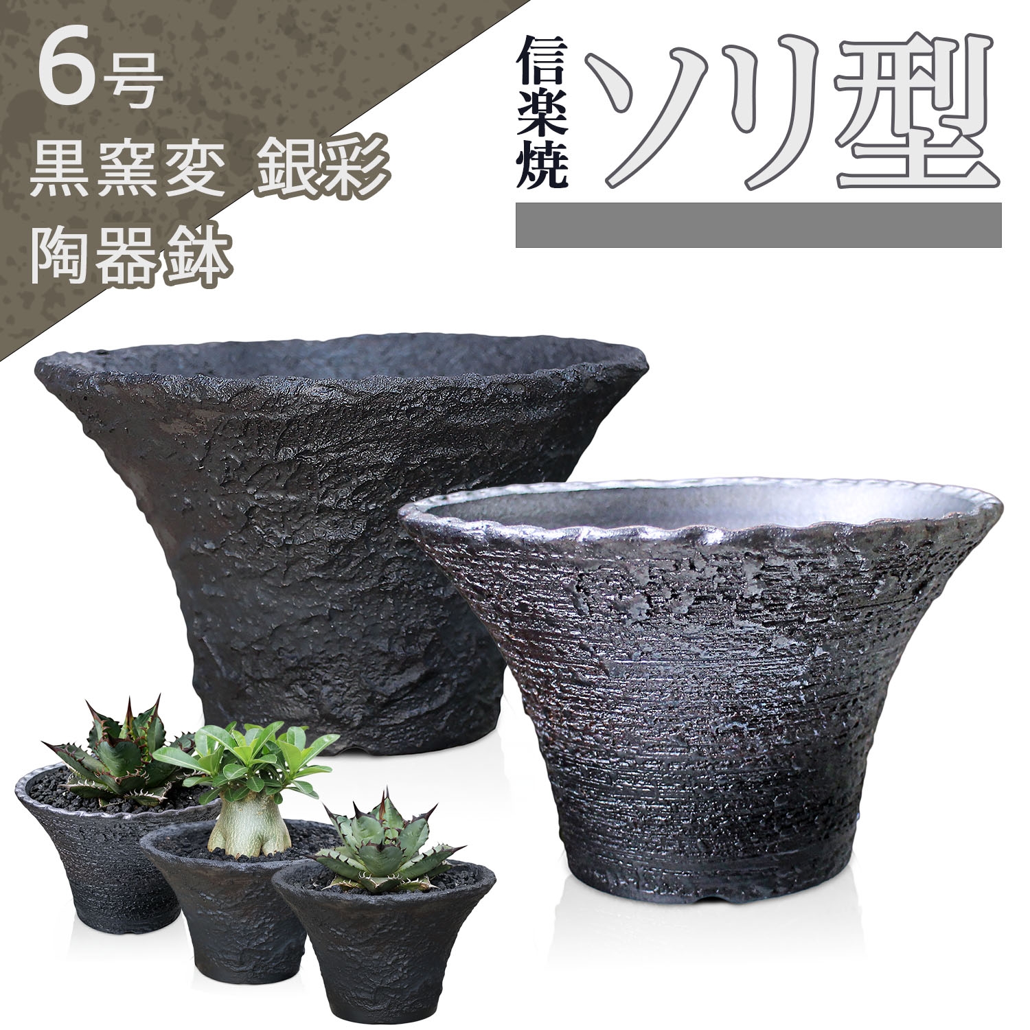 瀬戸 梅文 青磁 植木鉢 盆栽鉢 梅鉢 時代物 ➁個セット 楽天市場 | うめ