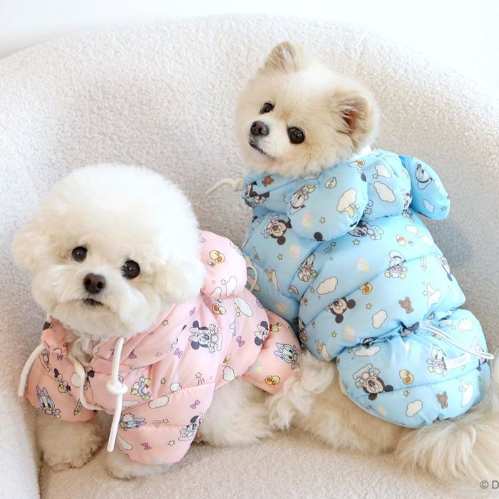 楽天市場】※予約販売【ITS DOG】Disney Baby Friends Soft Padding