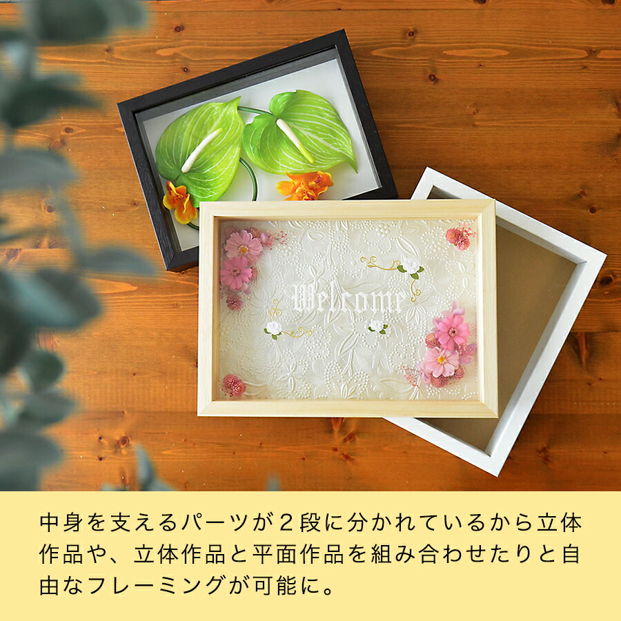 楽天市場】ボックスフレーム 立体額 セパレートタイプ B5 182×257 額縁