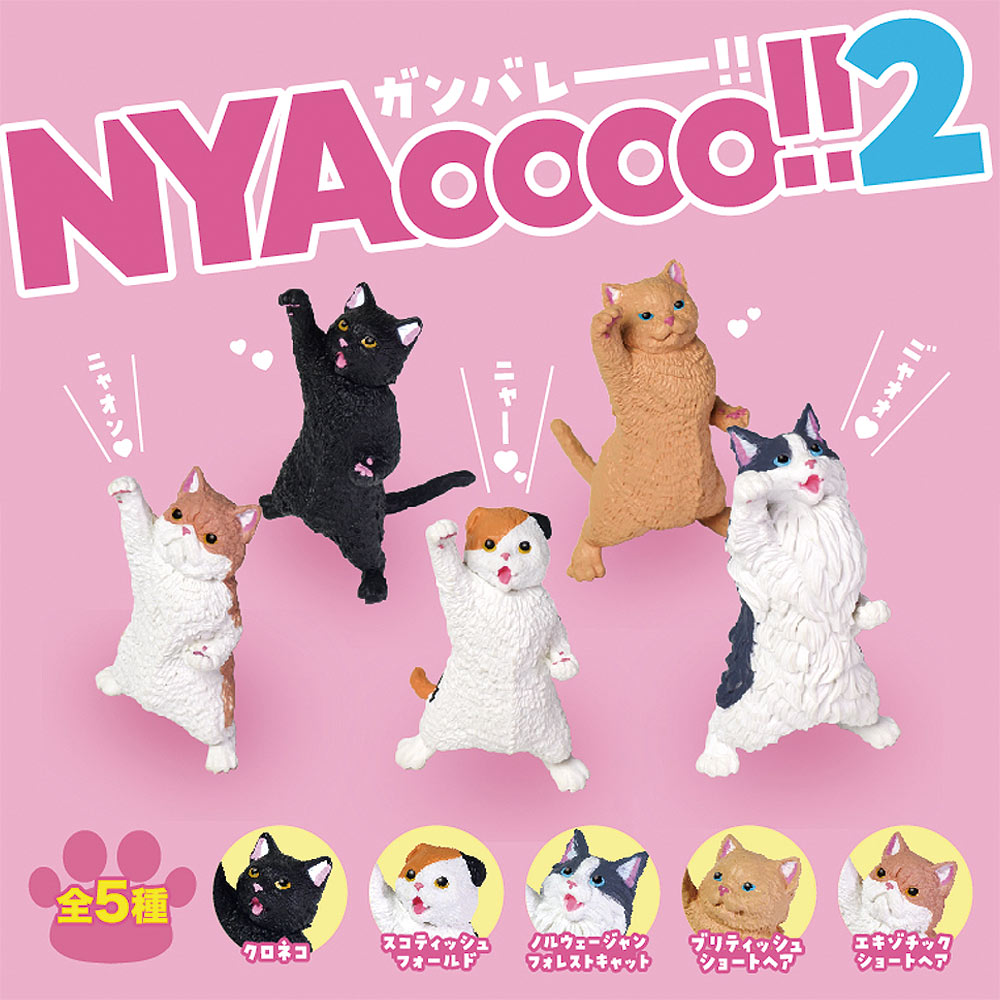 楽天市場】【5種類セット】ガチャ ガチャガチャ コンプリート 中身