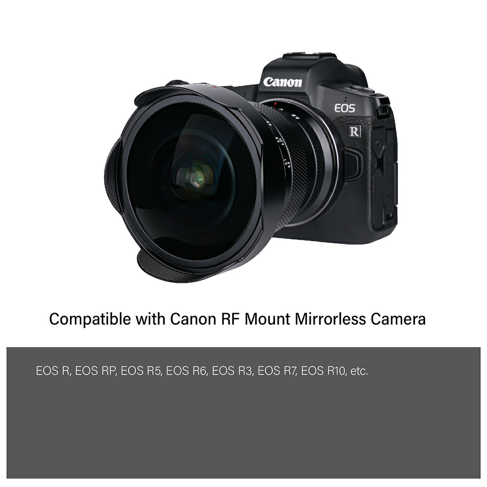 ライカR90MM F2ソニーフルサイズアダプター付き ライカR90MM F2