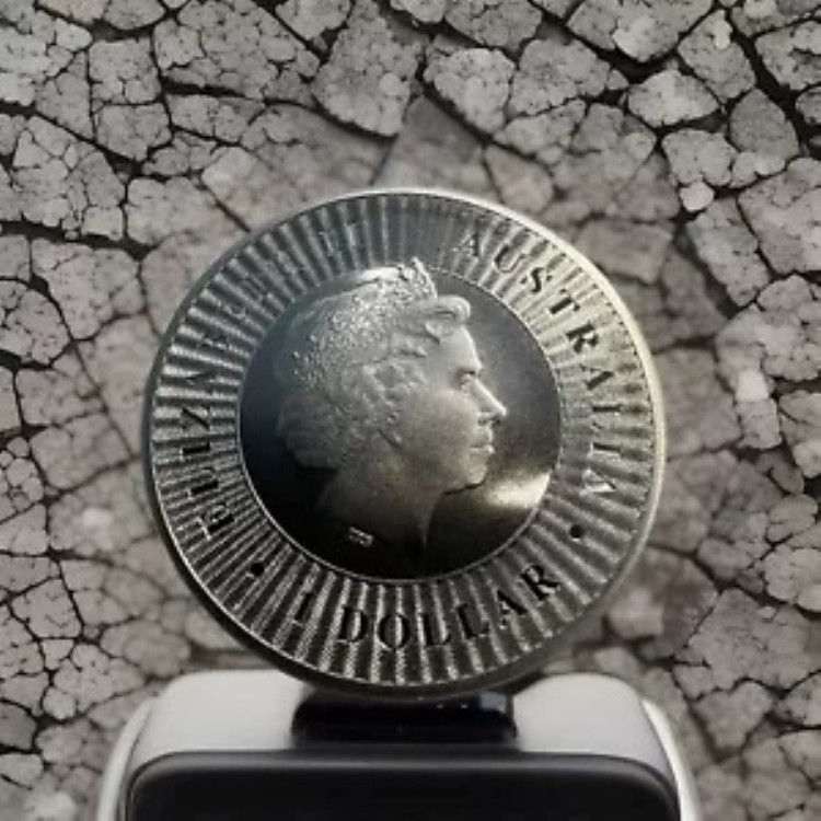 2016年 オーストラリアン カンガルー 4枚セット 正規品 2016年