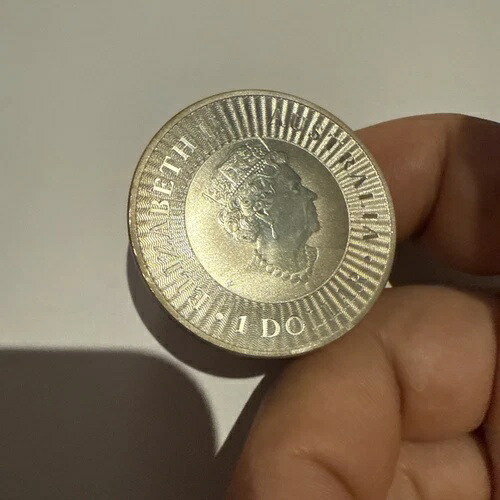 1オンス オーストラリア 2020年 カンガルー銀貨（袋入り）