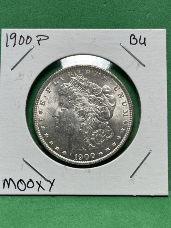 再お値下げ アメリカ1900年1ドル銀貨 モルガンダラー 【公式通販】