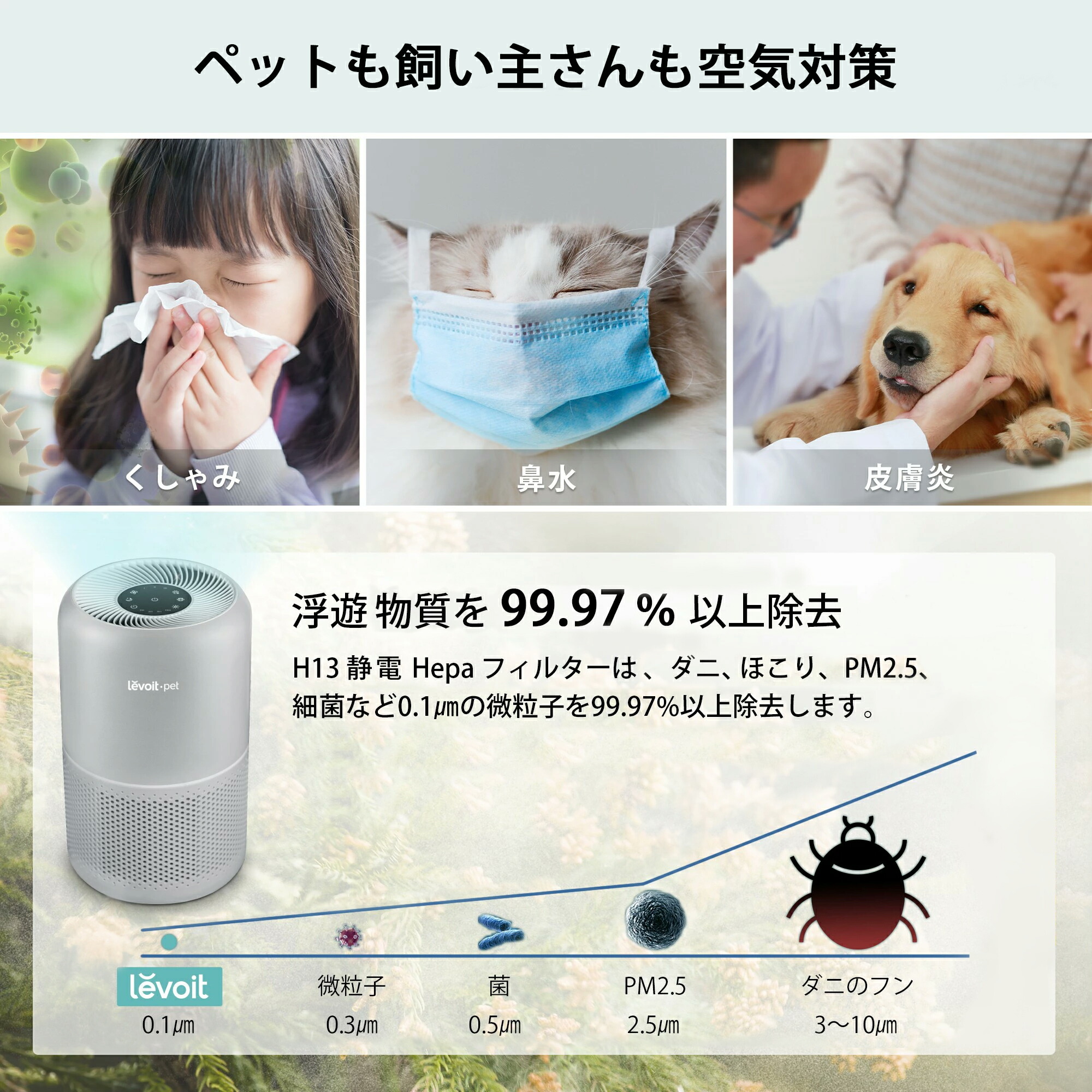 Levoit pet 空気清浄機 フィルター新品 Core P3500 グレー Levoit pet