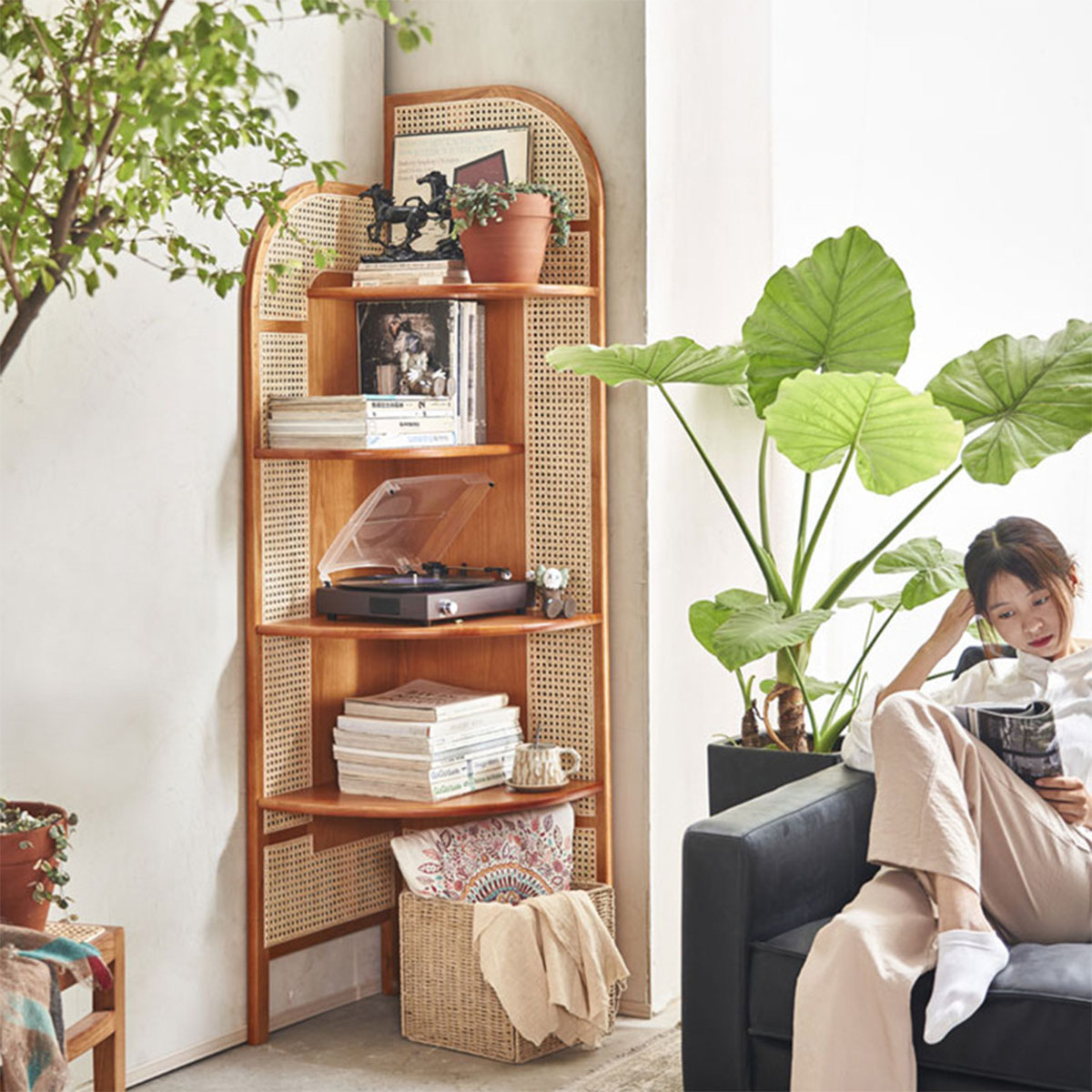 楽天市場】VeroMan ラタン ラック 屏風 ラタン編み 屏風 屏風ラック棚