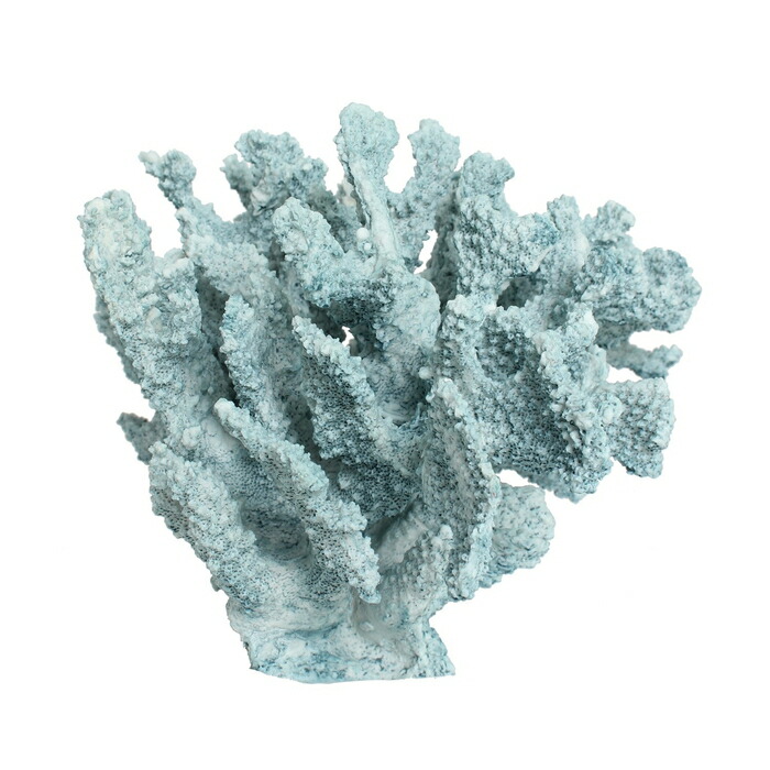 楽天市場】珊瑚 サンゴ Coral ミントブルー Mintblue インテリア