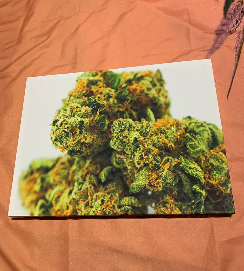 油絵 麻 大麻 マリファナ バッヅ marijuana 値下げ 油絵 麻 大麻