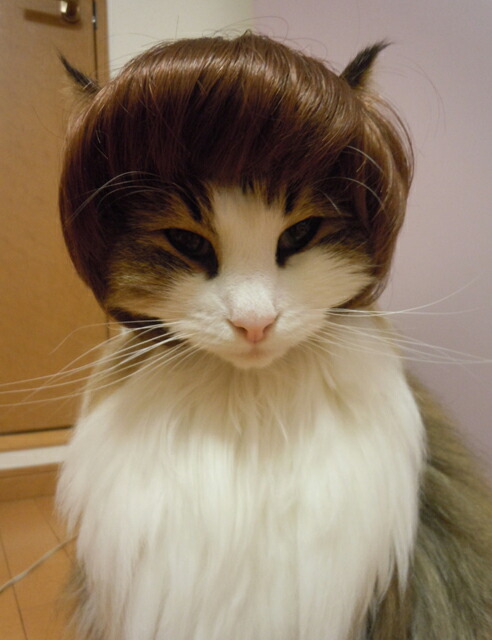 猫用首輪シュシュ 猫・ 子猫 ・犬 434 短毛ちゃんにも♥️中世