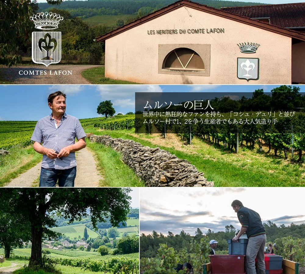 楽天市場】ムルソー クロ ド ラバール モノポール(単独所有畑) 2022