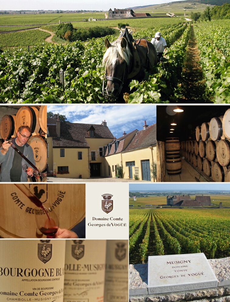 楽天市場】ボンヌ マール[2014]コント ジョルジュ ド ヴォギュエBonnes