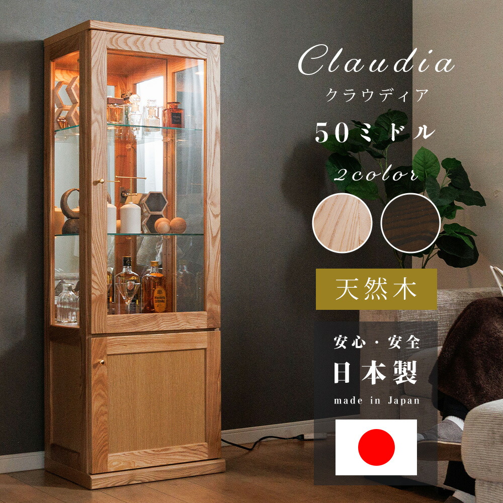 キュリオケース」の人気商品一覧 | 安い商品を通販サイトから探す