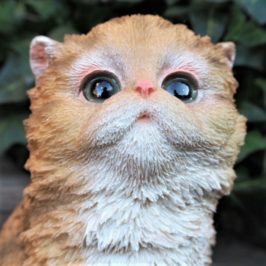 楽天市場】猫の置物 ペルシャレッド タビーホワイトの子猫