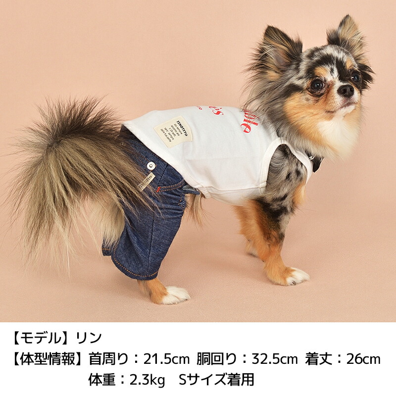 楽天市場】デニムニットパンツ XS/S/M/L/XL TINOTITO -ティノティート