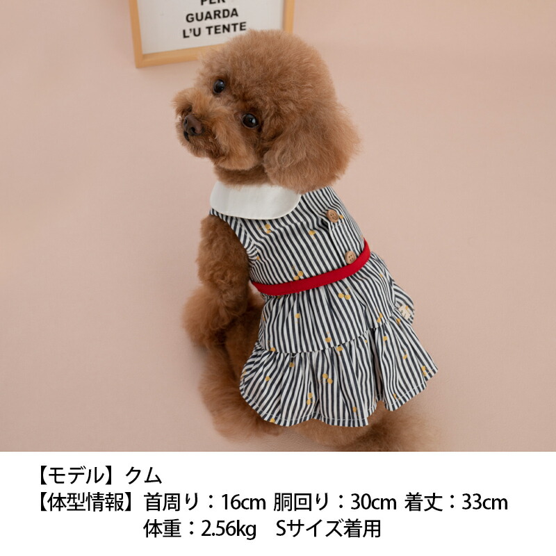 犬服 3S わんこの普段着 青いさくらんぼ