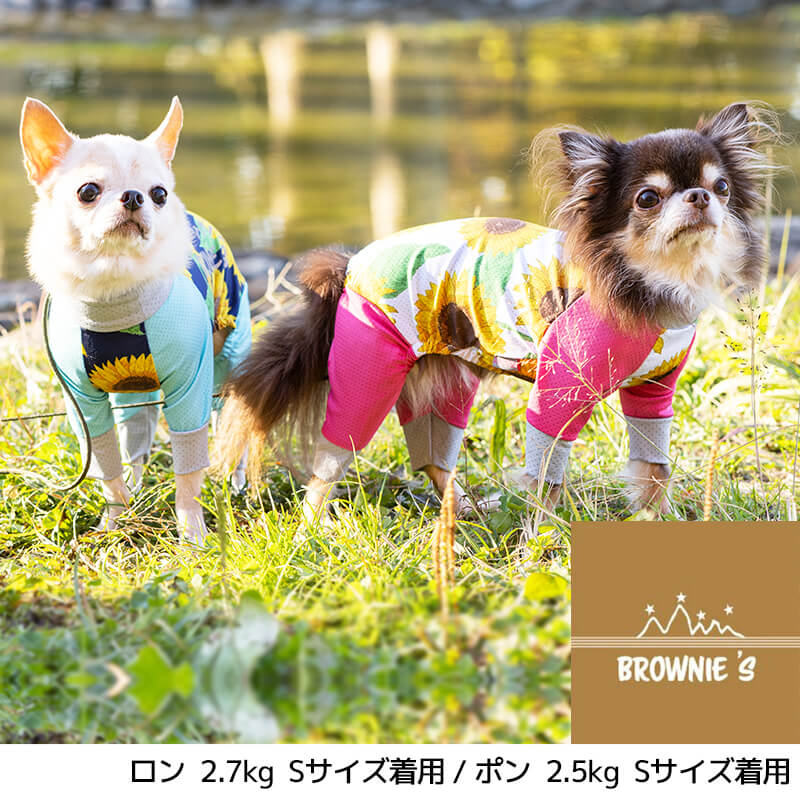 J*e様 ALPHAICON メッシュ犬服 イエロー・グリーン 楽天市場】【2022年