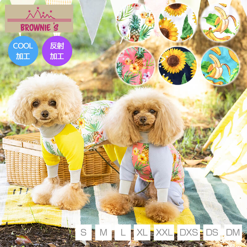 楽天市場】【2022年モデル】メッシュアクロン S/M/L/XL/XXL/DXS/DS/DM