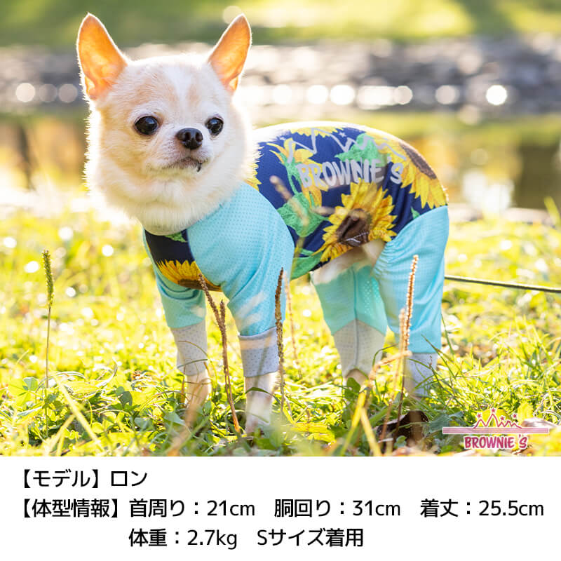 楽天市場】【2022年モデル】メッシュアクロン S/M/L/XL/XXL/DXS/DS/DM