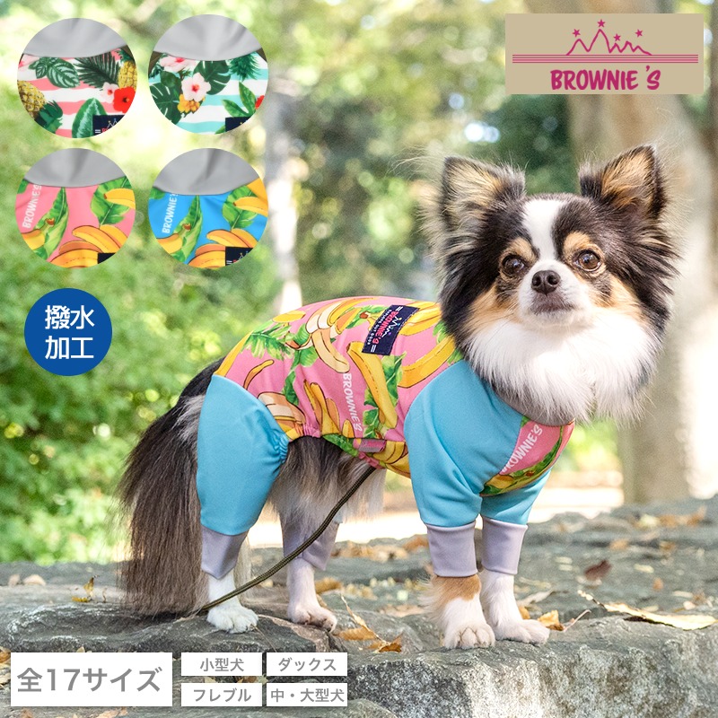 楽天市場】【2024年モデル】アクティブロンパース 犬用ラッシュガード