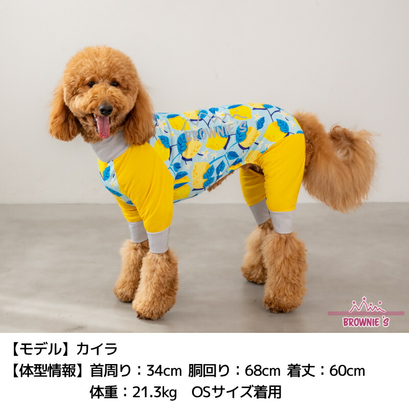 楽天市場】【2025年モデル】メッシュアクティブロンパース 犬用