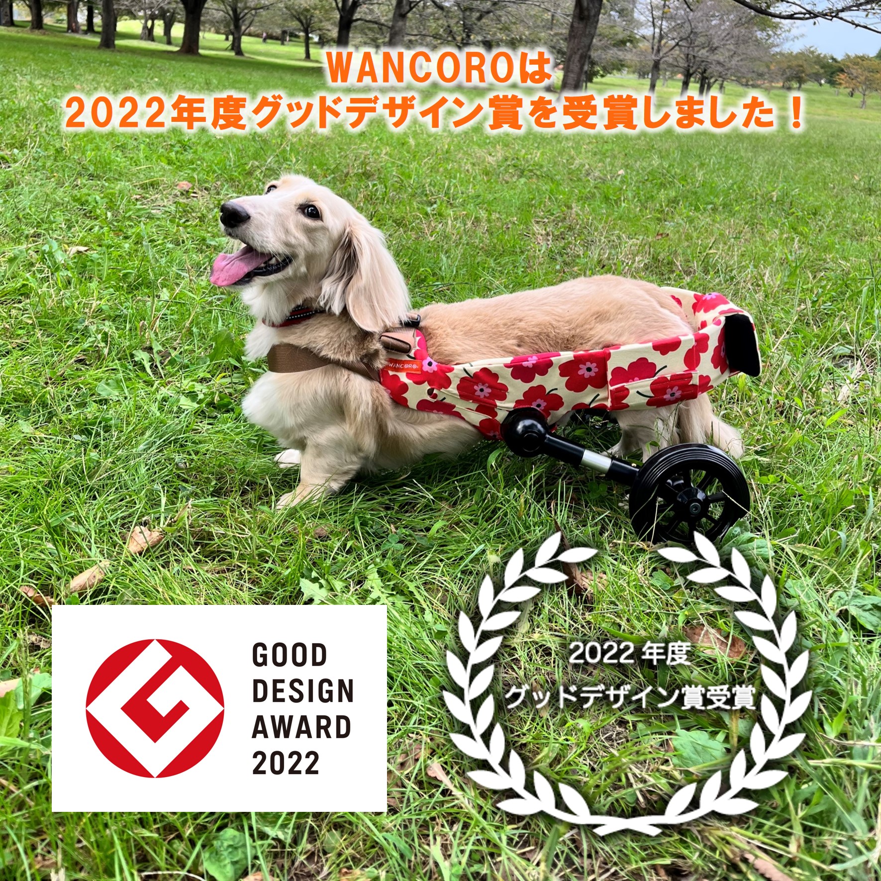 楽天市場】小型犬用 犬用車いす 犬用車椅子 WANCORO リハビリ 老犬介護