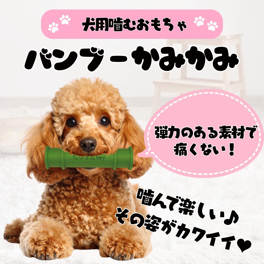 楽天市場】CUEZtoy 犬用おもちゃ 小型犬用 PLA 咥える筒 竹筒 bamboo