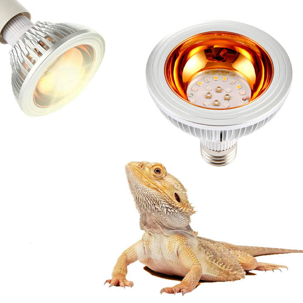爬虫類 トカゲ カメ UV LED 照明 紫外線 ライト バスキングセット 楽天