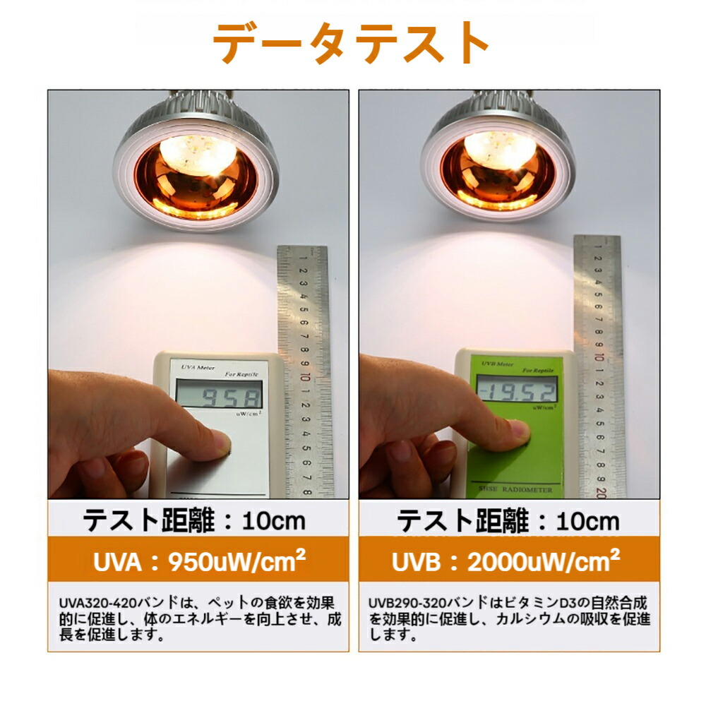 楽天市場】爬虫類 ライト 紫外線 爬虫類 バスキングライト 亀 ライト