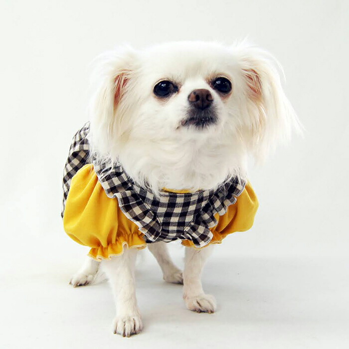 重ね着風ドールワンピース/犬服/犬服ハンドメイド 【公式通販】