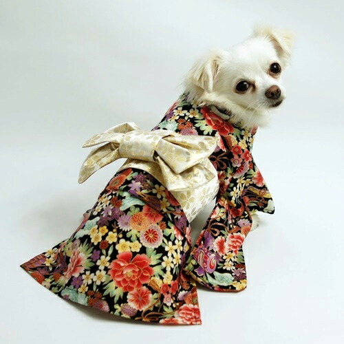 楽天市場】振袖着物(一重) ダックスフンド DS&DS+&DSM : CELEBDOG